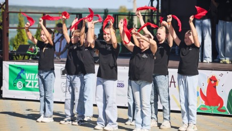 Гостеприимный фестиваль Альпака Фест 2024