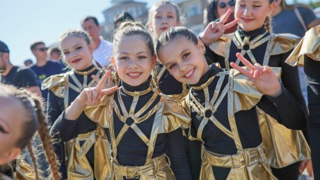 Гостеприимный фестиваль Альпака Фест 2024