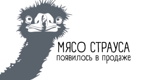 Мясо страуса в Фермерской лавке