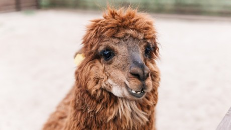 ОЧЕНЬ ВАЖНАЯ ИНФОРМАЦИЯ. Давайте поддержим друг друга