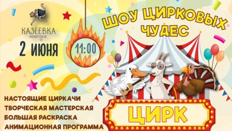 Семейный праздник "Шоу цирковых чудес"