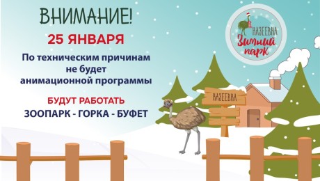 Отмена Анимации 25 января 2025 г.