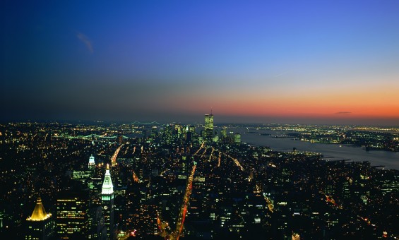 Мара (патагонский заяц)