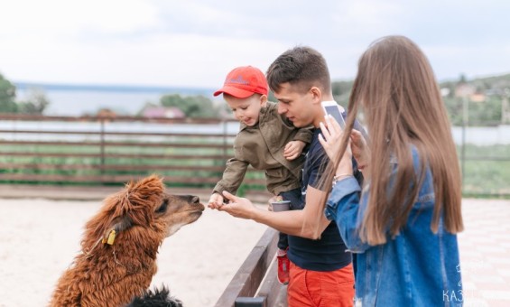 Прогулка по парковой территории