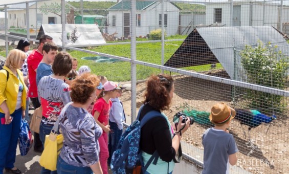 Групповая экскурсия