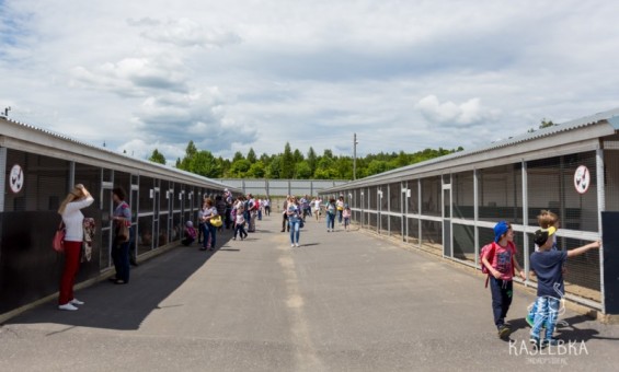 Групповая экскурсия