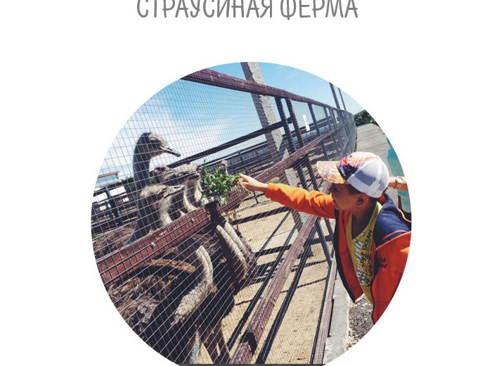 Парковая зона будет работать в зимний период