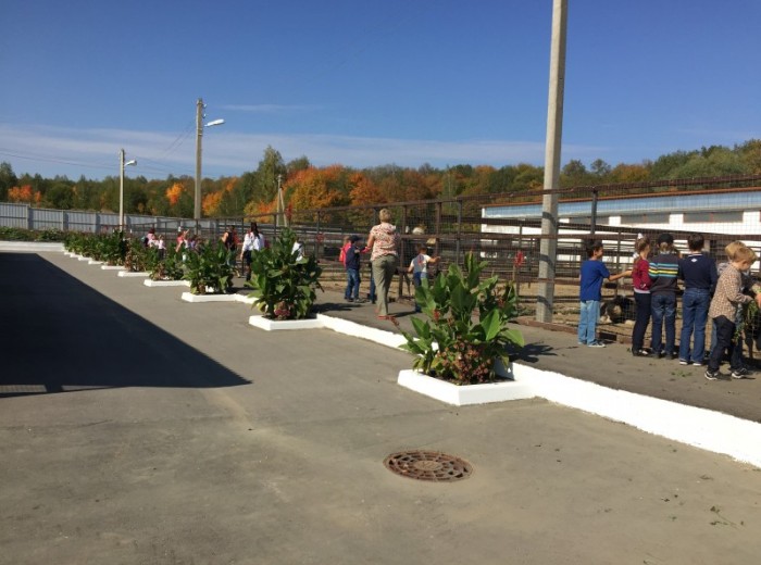 Корпоративный праздник для детей и родителей