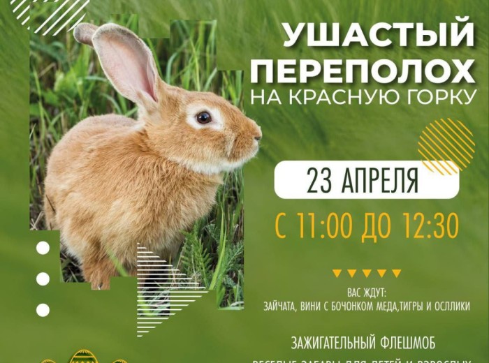 Ушастый переполох на Красную горку